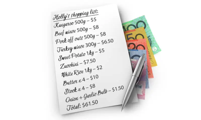 eating healthy on a budget - holly's shopping list