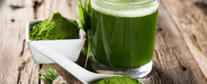 Becoming a Lean Mean, Green Machine