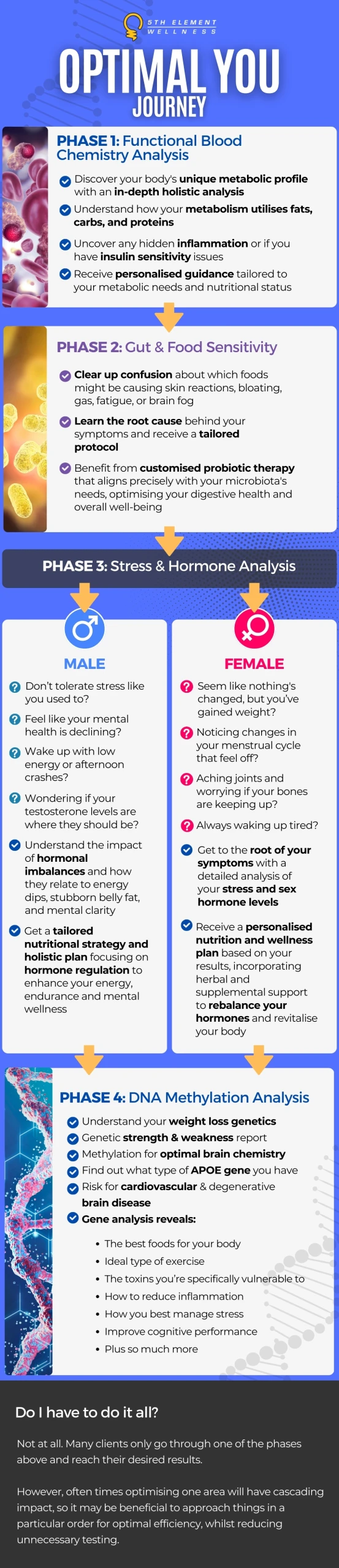 Optimal You