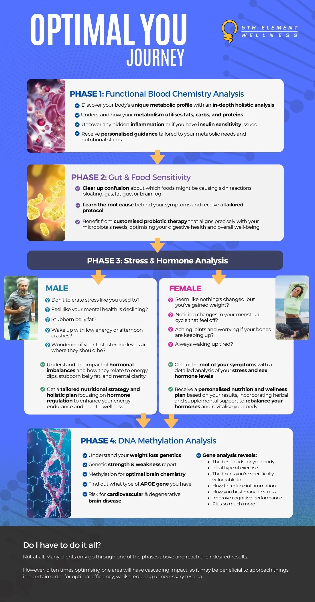 img-optimal-you-infographic Optimal You - functional blood chemistry analysis in fitzroy north