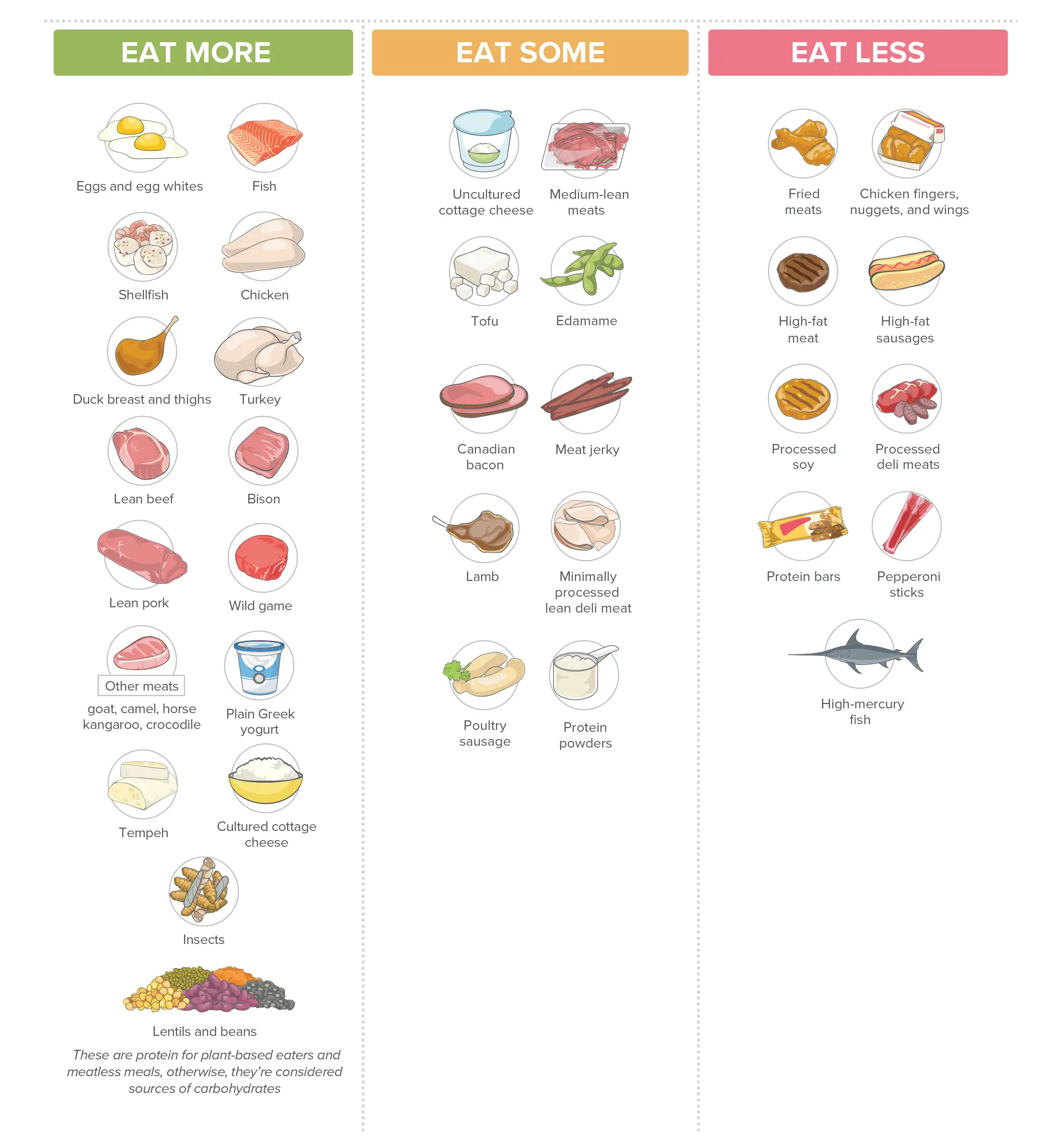protein Food Proportions