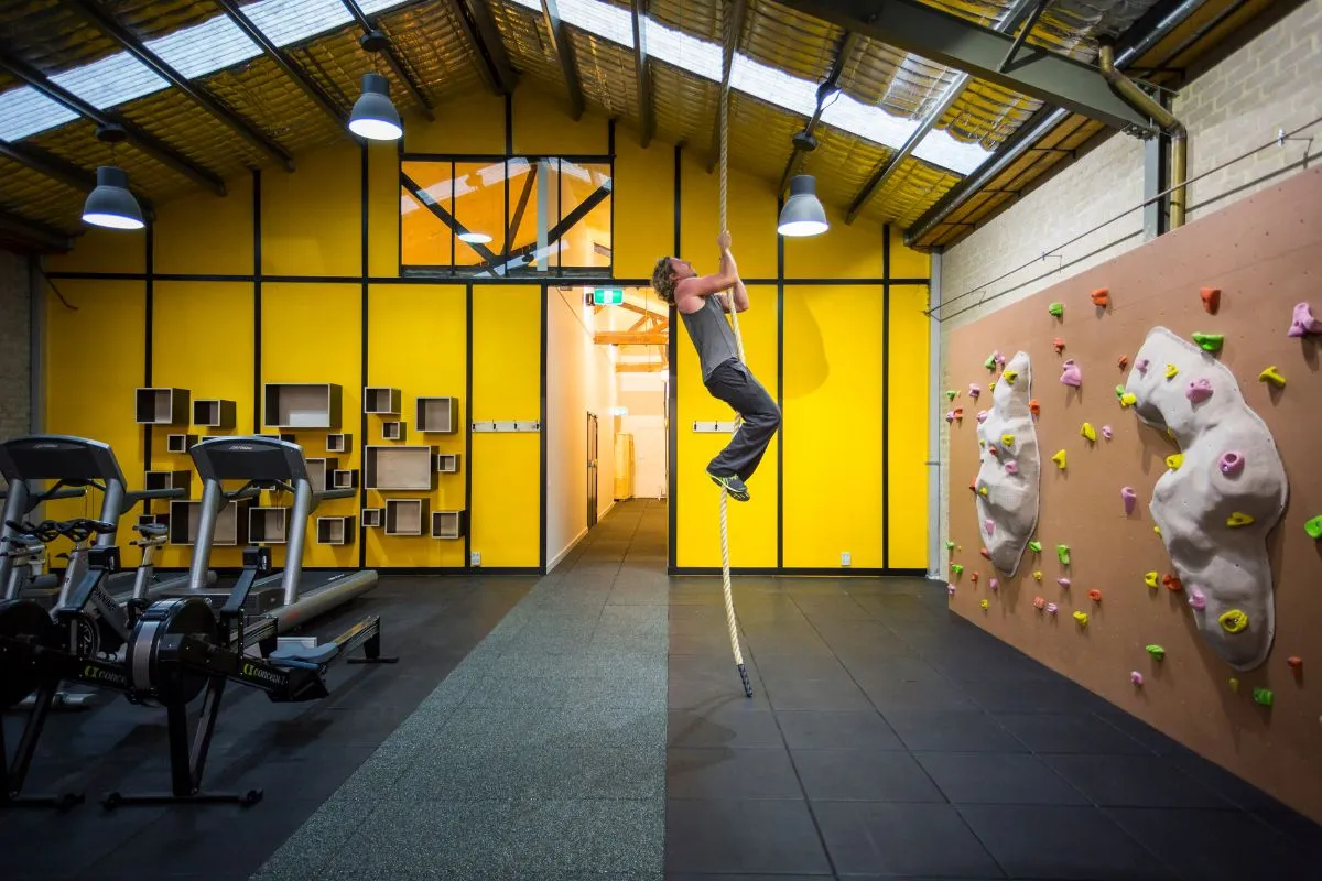 Rope climbing and gymnastic apparatus