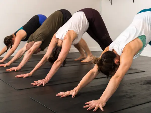Slow Flow Yoga at 5EW